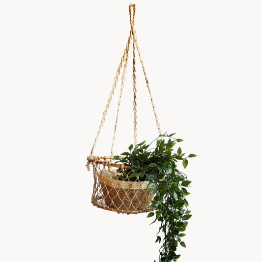 Jhuri Single Hanging Basket-0