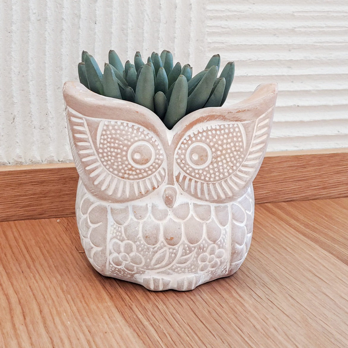 Terracotta Pot - Big Eye Owl-1