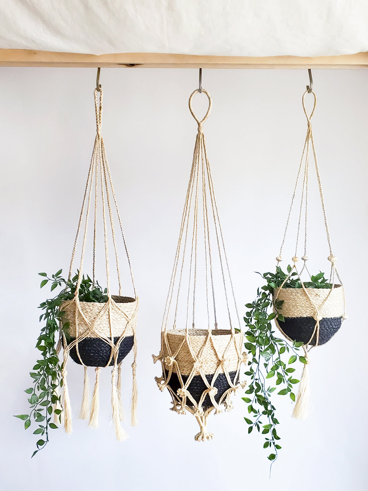 Plant Hanger - Shuly-3