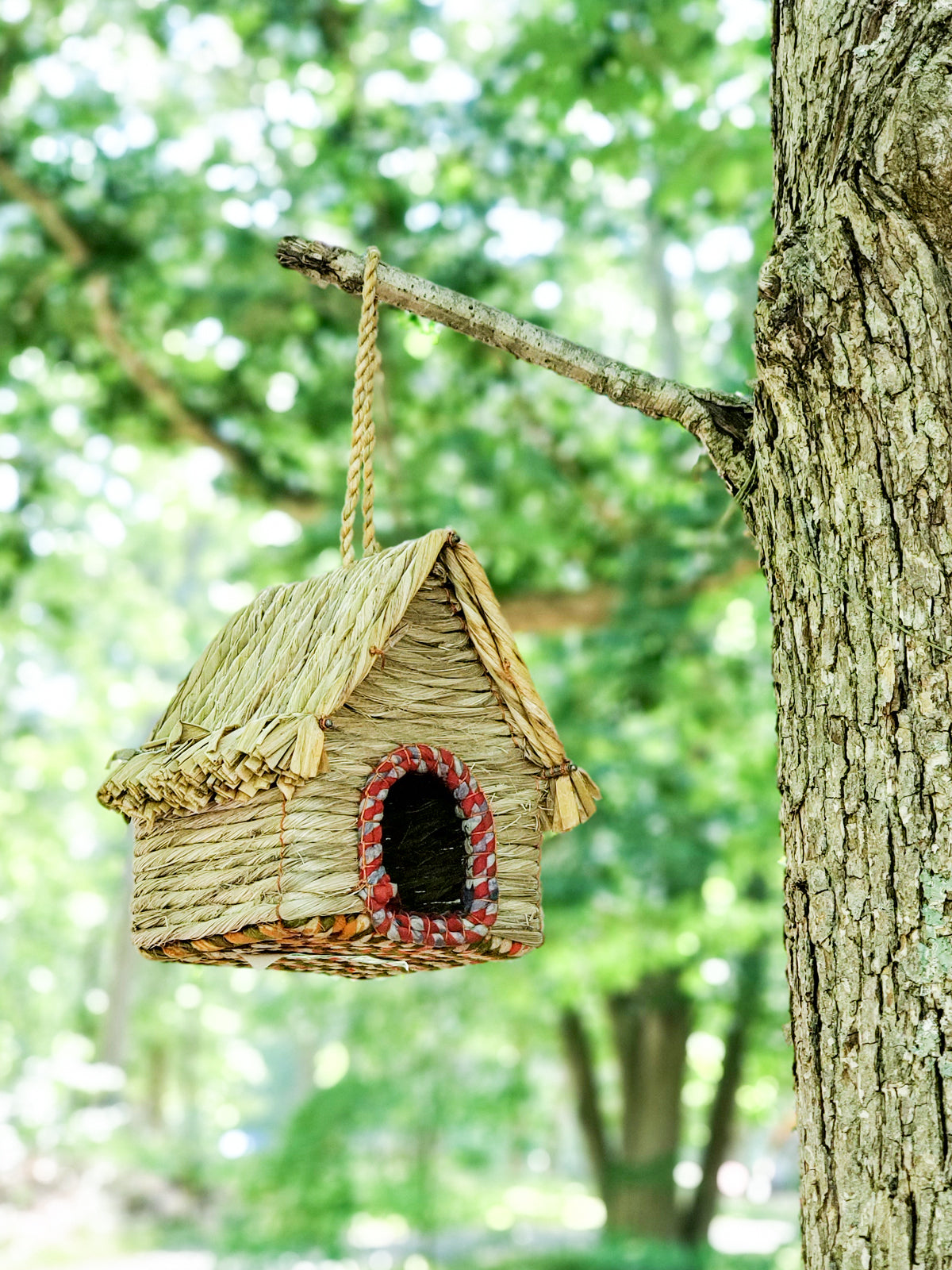 Seagrass & Sari Birdhouse - Cabin-1