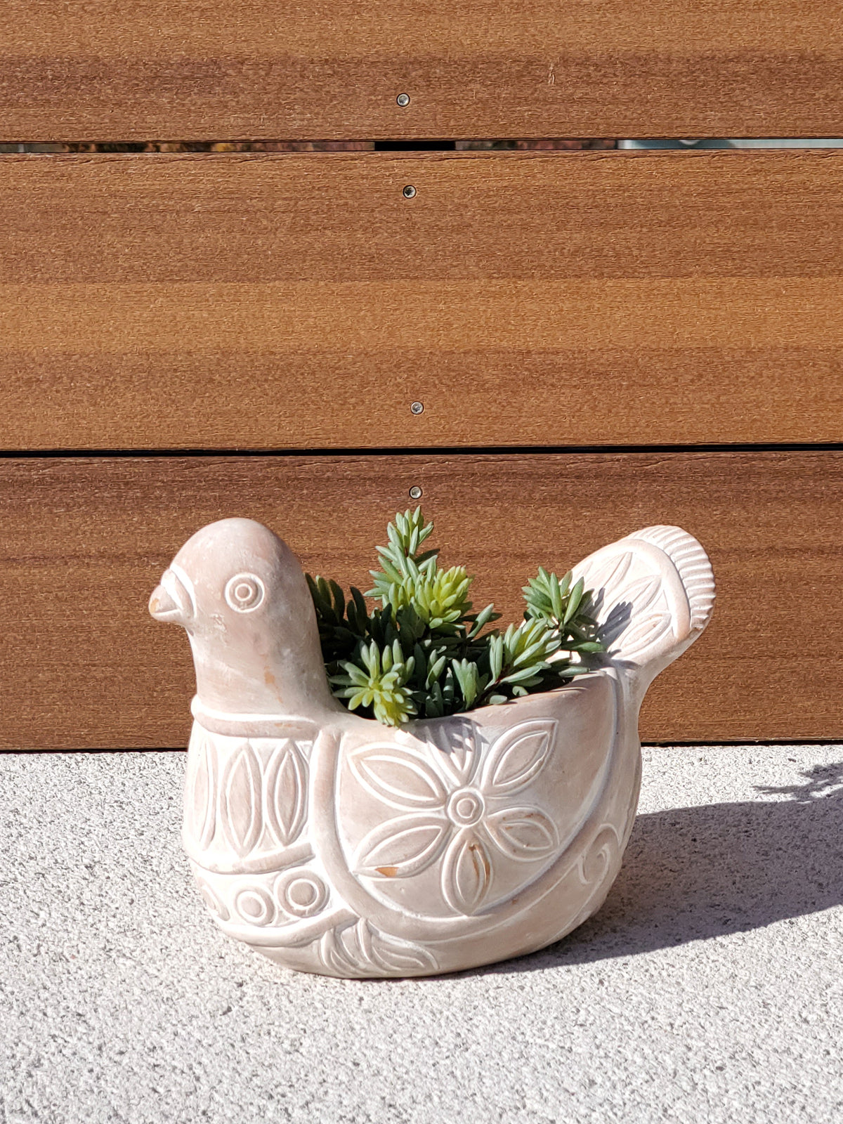 Terracotta Pot - Spotted Dove-3